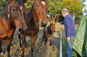 Rigotti nel giardino della sua residenza in Valpolicella