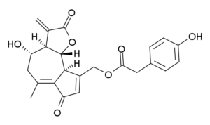 La formula di struttura del Lactucopikrin (un sesquiterpenlattone)