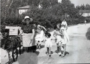 Foto storica scattata a Casaleone, paese produttore di radicchio