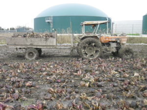 Foto: Az. agricola Lorenzetti